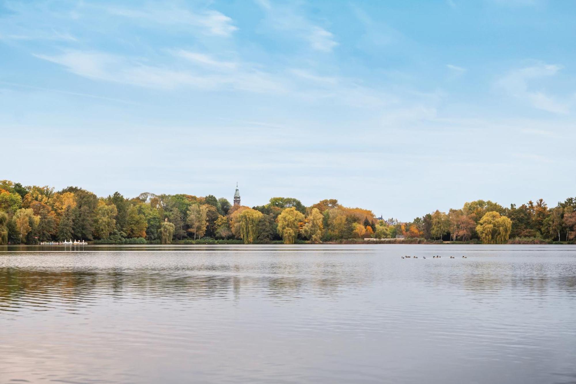 Edler Wohnraum Schwanenteich-Suite Mit Balkon, Kaffeevollautomat, Lift & Parkplatz Zwickau Exteriér fotografie